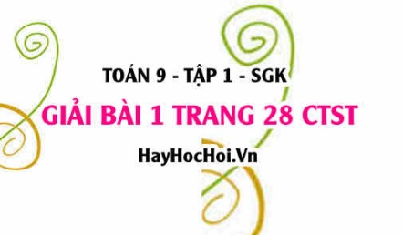 Bài 1 trang 28 Toán 9 tập 1 Chân trời sáng tạo SGK